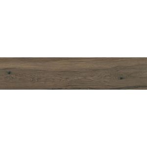 Porcelanato (A) Amazonia 19X90.2 Eliane