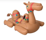 boia-camelo-mor-