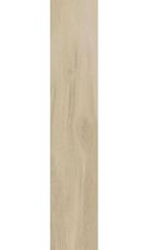 porcelanatoplus_a_retificadoacetinado_arbol_20x120_incepa_7126060