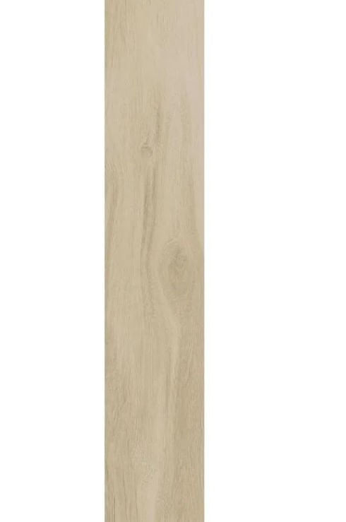 porcelanatoplus_a_retificadoacetinado_arbol_20x120_incepa_7126060