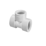 Te_Roscavel__12Pol_Krona_6186250