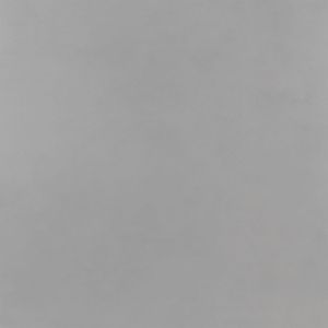 Porcelanato (A) Acet/Ret Pp Pro 60X60 Incepa
