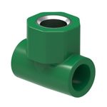Te_Rosca_Femea_Ppr_Central_25X34_Tigre_Verde_8965800