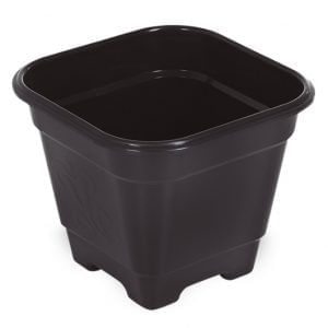 Vaso_Quadrado_G_Perovinha_8867960