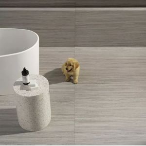 Porcelanato (A) Retificado/Natural Filo 60X120 Portobello