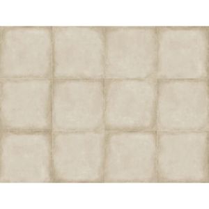 porcelanato (a) retificado/acetinado manila 63x63 delta
