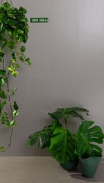 revestimento_a_retificado_argos_gris_mt_30x90_eliane__8049111_9393550