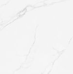 Porcelanato_a_retificado_polido_place_120x120_10204020