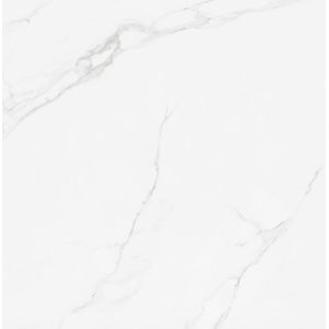 Porcelanato (a) retificado polido place 120x120