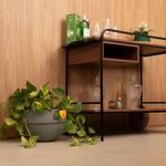 Vaso_cosmo_vasap_23_cinza_10298602