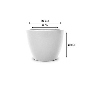 Vaso baixo liso 22 cz