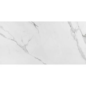 porcelanato (a) polido place 59x118.2 eliane - 8037333