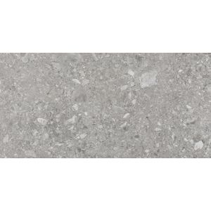 porcelanato (a) polido iseo 59x118.2 eliane grigio - 8042381