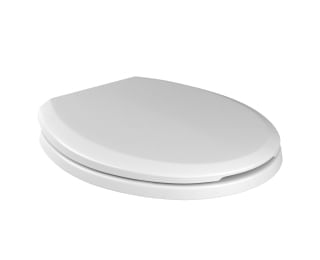 Assento_Sanitario_Plastico_IzyRavena_Deca_Gelo_CSlow_Clo__Ap16517_1099560