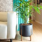 Vaso_cilindrico_decore_chumbo_10298322