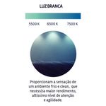 Lampada_led_bulbo_9w_6500k_10310041