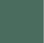 tinta_esmalte_fosco_cor_e_prot_900ml_suvinil_verde_escolar__53404004_4647271