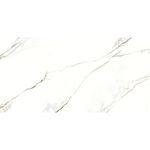 Porc_a_retpol_vene_doro_60x120_10205130