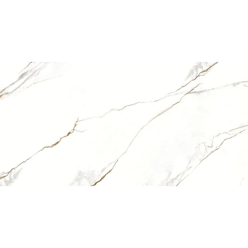 Porc_a_retpol_vene_doro_60x120_10205130