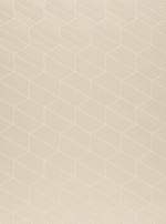 porcelanato_a_boldmatte_mac_tra_dec3_85x20_portinari_soft_beige_10pcs__6062210A_8997890