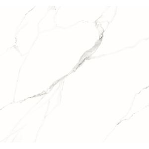 Porc (a) retificado acetinado statuario 121x121