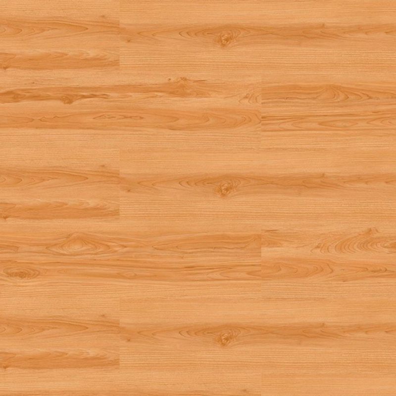 Piso_vinilico_cola_working_brisbane_2286x12192_eucafloor_10326270