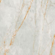 Porc_a_retnat__120x120_soft_gray_10187550