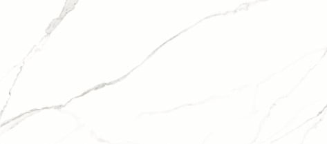 Porc_a_retpol_statuario_62x121cm_10187540
