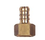 terminal_3117_38_jackwal__003117_3144110