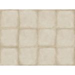 porcelanato_a_retificadoacetinado_manila_63x63_delta_gris__2252A_9110850