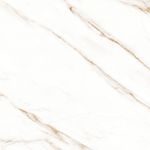 Porc_a_retificado_polido_raggi_oro_evolution_90x90__delta_10323270