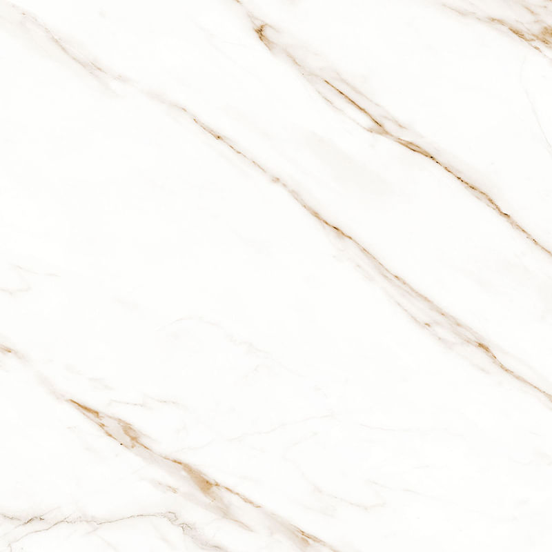 Porc_a_retificado_polido_raggi_oro_evolution_90x90__delta_10323270