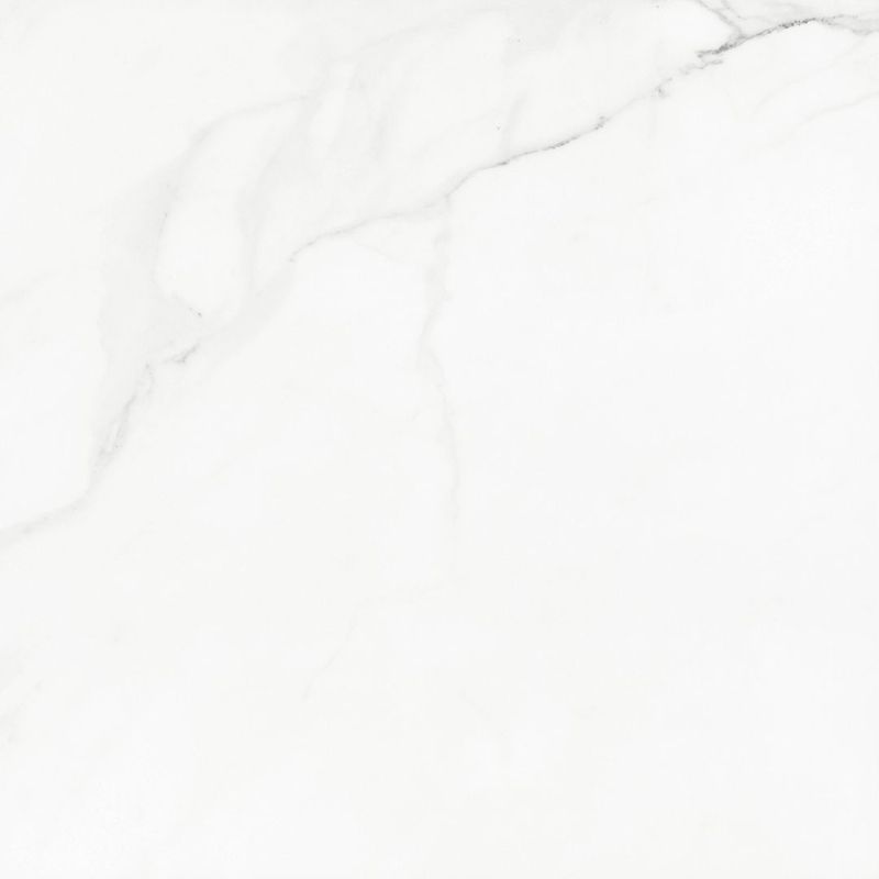 porcelanato_a_acetinado_place_60x60_eliane__8038508_10204130