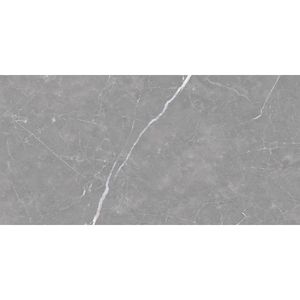 Porcelanato Venato Grigio 60X120 Polido - Delta
