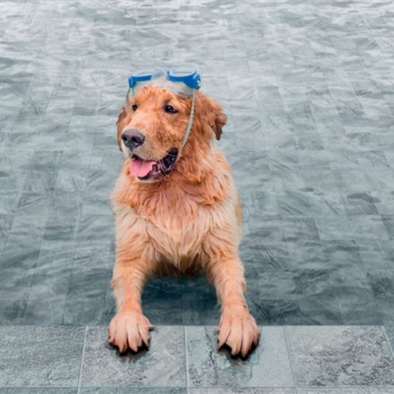 porcelanato_a_bold_malibu_20x20_portobello_ocean_ext__28784E_7987090